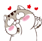 Ami Fat Cat Lol Sticker - Ami Fat Cat Lol Thats Funny Stickers
