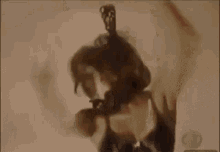 Flamenco Flamenco Dance GIF - Flamenco Flamenco Dance Throws Hat GIFs