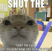 a cat is holding a talking stick and says shut the fuck up you don t have the talking stick