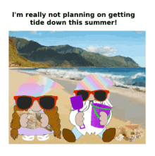 Summer Gnomes Beach GIF - Summer Gnomes Beach Summer GIFs
