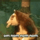 Om Nom Ymmy GIF - Om Nom Ymmy Eating GIFs