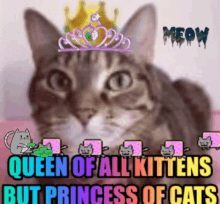 Queen Kittens GIF - Queen Kittens Princess GIFs