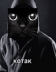 a person with a black cat on their face and the word kotak on the bottom right