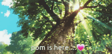 Pom Is Here Pomcore GIF - Pom Is Here Pomcore Pom Gif GIFs