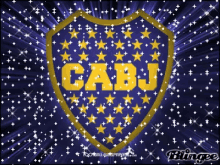 Boca Juniors GIF - Boca Juniors Cabj GIFs