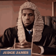 Judge James Lebron James GIF