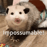 Impossible Opossum GIF - Impossible Opossum Umpossible GIFs