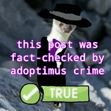 a picture of a cat wearing a hat and a suit that says this post was fact-checked by adoptimulus crime