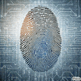 Cyberspace Fingerprint GIF