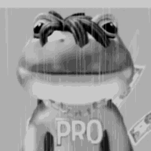 Frogs Pond GIF - Frogs Pond GIFs