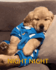 Good Night Night Night GIF - Good Night Night Night Yawn GIFs