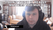 I Dont Think It Really Matters Too Much Pandacat GIF - I Dont Think It Really Matters Too Much Pandacat Maksim Yanevich GIFs