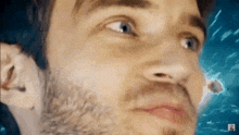 a close up of a man 's face with a beard and a rabbit behind him .
