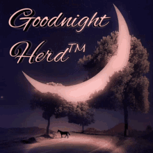 Herd Goodnight Herd GIF - Herd Goodnight Herd GIFs