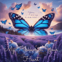 a blue butterfly is flying over a field of purple flowers with the words `` you are my heaven '' written on it .