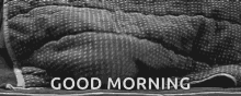 Cat Good Morning GIF - Cat Good Morning Peep On Blanket GIFs