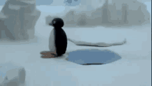 Pingu Noo GIF - Pingu Noo Cartoon GIFs