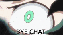a close up of a person 's eye with a green circle in the middle and the words `` bye chat '' below it .