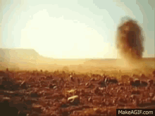 Rotoballe Rolling GIF - Rotoballe Rolling Rock GIFs