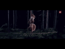 Fox Reverse GIF - What Does The Fox Say Ylvis Reverse GIFs