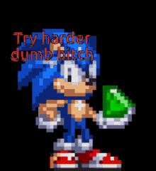 a pixel art of sonic the hedgehog with the words " try harder dumb bitch "