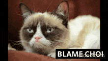 a grumpy cat is laying on a couch with the words blame chol written above it