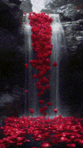 a waterfall filled with red rose petals and water