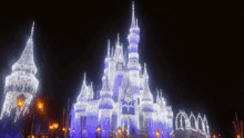 castle lights magical disney land