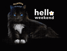 Weekend Cat Lover GIF - Weekend Cat Lover GIFs