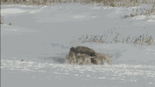 Wolf Pack Attack GIF - Wolf Pack Attack Steamrolled GIFs