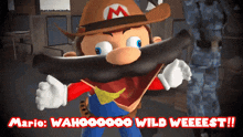 Smg4 Mario GIF - Smg4 Mario Wahoo Wild West GIFs