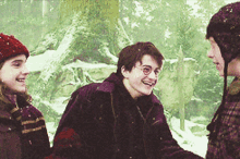 Harry Potter Laughing GIF - Harry Potter Laughing Happy GIFs