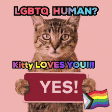 a cat is holding a sign that says " yes "