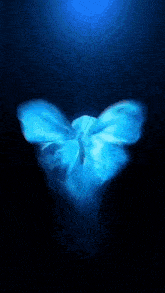 a blue butterfly is flying in the dark with a black background .