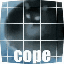 Cope Cope Cat GIF - Cope Cope Cat GIFs