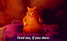 Shrek Puss In Boots GIF - Shrek Puss In Boots Feed Me If You Dare GIFs