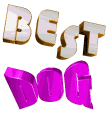 best dog