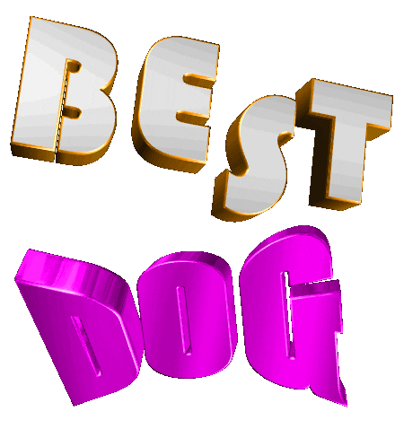 Best Dog Love My Dog Sticker - Best Dog Dog Love My Dog Stickers