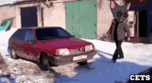 a cat wearing sunglasses is walking next to a car with the word cets on the bottom