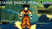 Goku Image Perms GIF - Goku Image Perms Discord GIFs