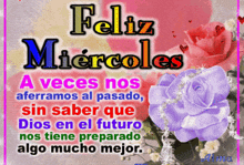a purple rose is on a pink and yellow background with the words feliz miercoles