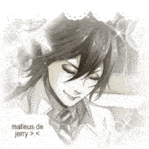 a black and white drawing of a man with the words " malleus de jerry " below him