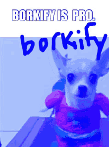 Borkify GIF - Borkify GIFs