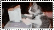 a cat is sitting at a desk typing on a laptop .
