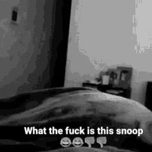 Stunna Boy Snoop Dog GIF - Stunna Boy Snoop Dog Snoop GIFs