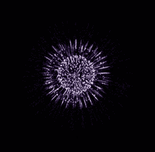 Fireworks Explosion GIF