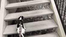 Puppy Stairs GIF - Puppy Stairs Run GIFs