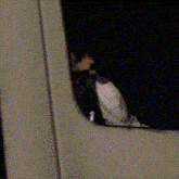 a man in a white shirt is sitting in a car looking out the window