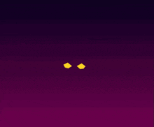 a cat with a crown on its head is surrounded by yellow circles