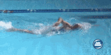 pool swimming sport front crawl